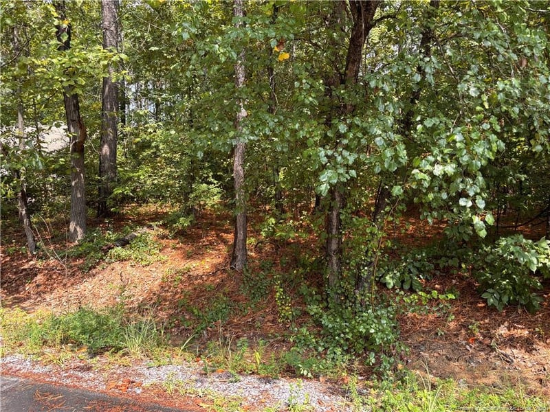668 Chelsea Dr, Sanford, NC 27332