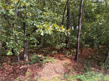 668 Chelsea Dr, Sanford, NC 27332