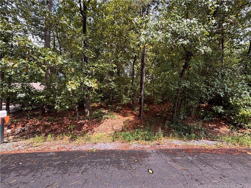 668 Chelsea Dr, Sanford, NC 27332