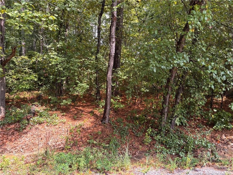 668 Chelsea Dr, Sanford, NC 27332