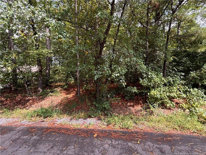 668 Chelsea Dr, Sanford, NC 27332