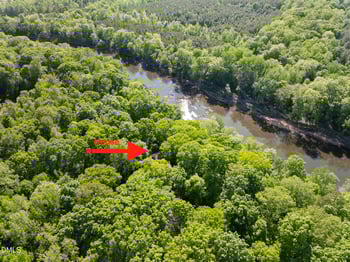 668 Windsor Rd, Chapel Hill, NC 27516