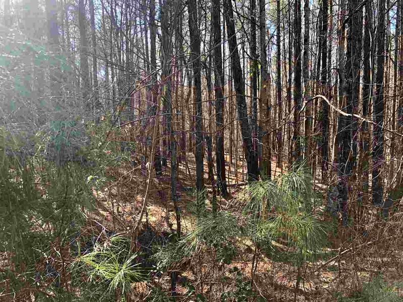6689 Crowned Ct Lot 99, Zebulon, NC 27597