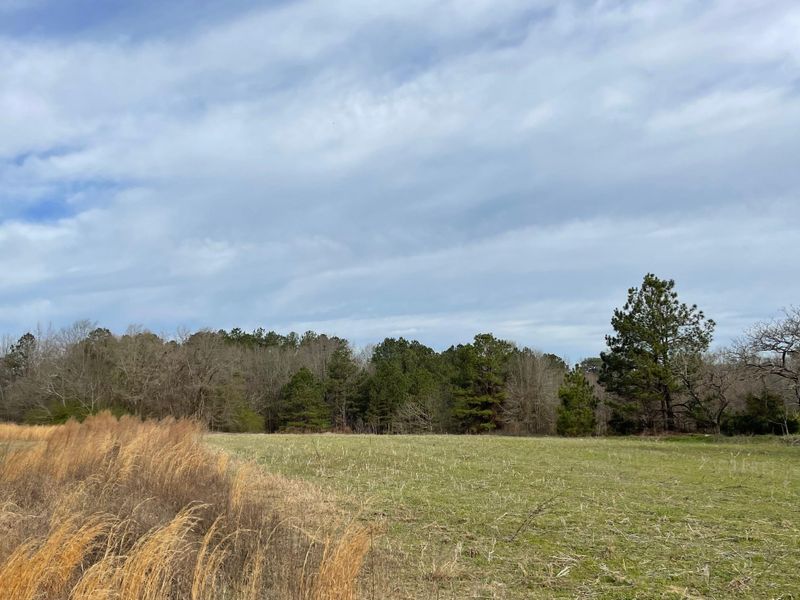 6690 River Rd Lot 8.61, Lillington, NC 27546
