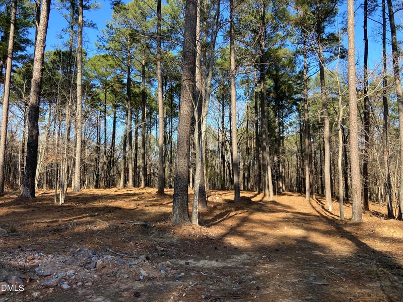 6716 Bartley Point Dr, New Hill, NC 27562