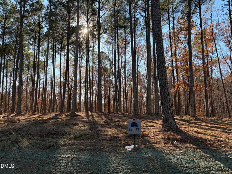 6729 Bartley Point Dr, New Hill, NC 27562