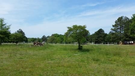 6734 Lake Myra Rd Lot 7, Wendell, NC 27591