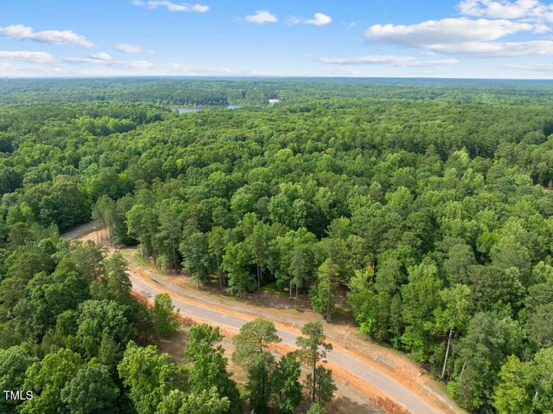 6736 Brixley Crest Ct, Raleigh, NC 27614