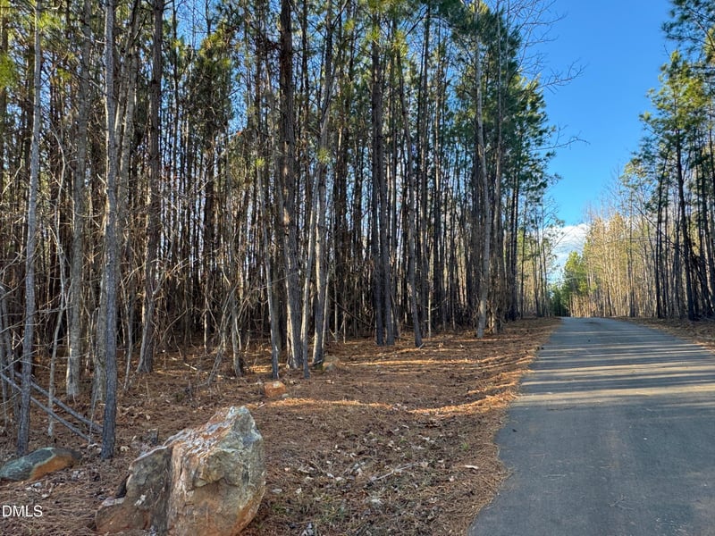 6740 St Marys Rd Lot 8, Hillsborough, NC 27278