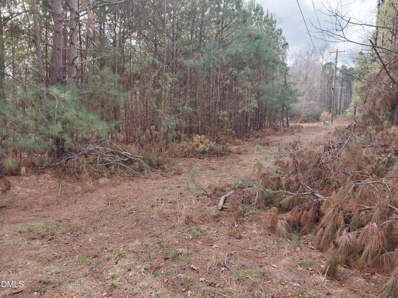 6741 Wimberly Rd Lot 1, Willow Springs, NC 27592