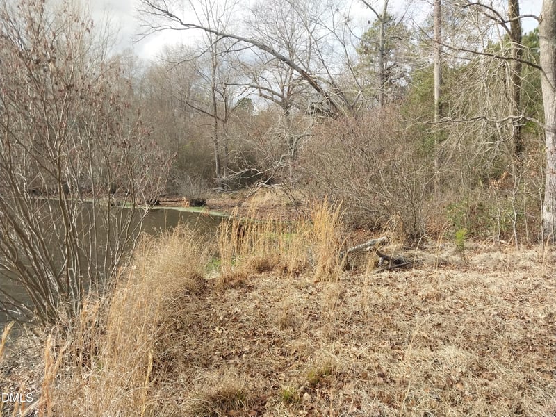 6741 Wimberly Rd Lot 1, Willow Springs, NC 27592