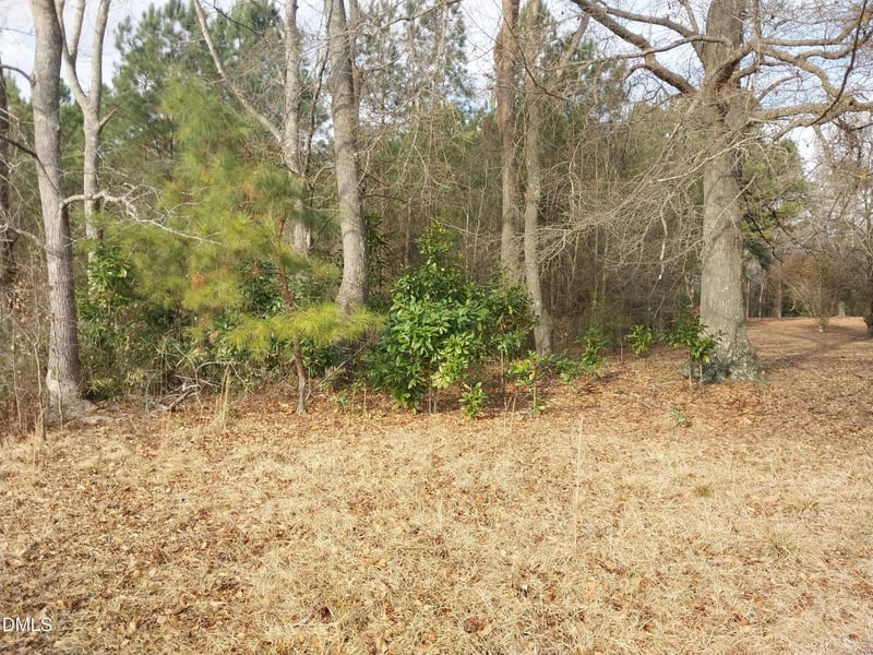 6741 Wimberly Rd Lot 1, Willow Springs, NC 27592