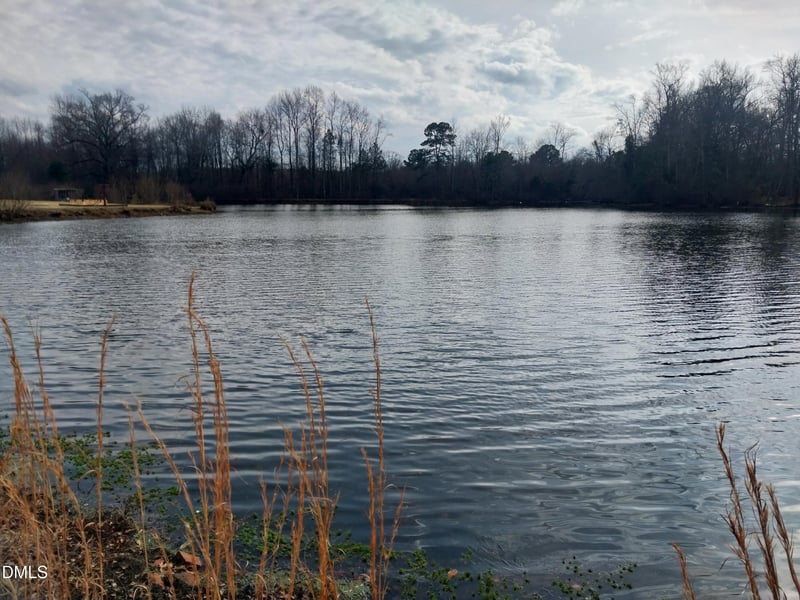 6741 Wimberly Rd Lot 1, Willow Springs, NC 27592