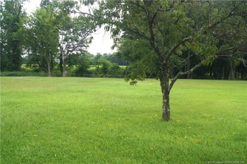 678 Raven Rock Rd, Lillington, NC 27546