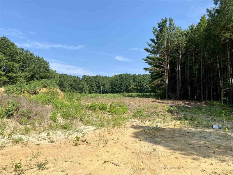 68 Damsel St, Zebulon, NC 27597