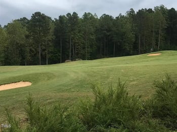 68 Larkspur Ct, Pittsboro, NC 27312