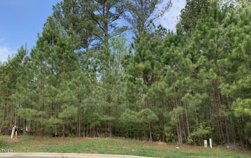68 Larkspur Ct, Pittsboro, NC 27312