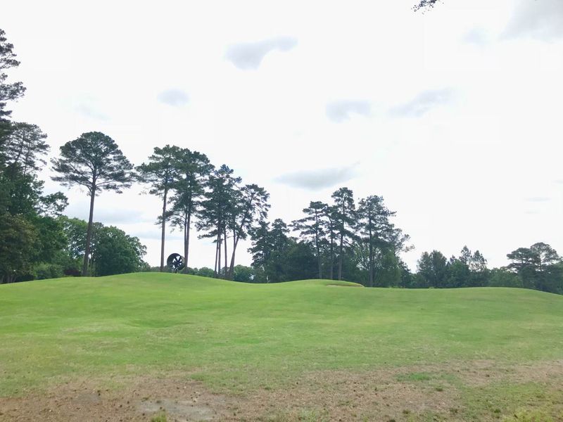 6809 Greystone Lot 41, Raleigh, NC 27615