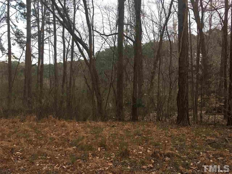 6825 Green Meadow Dr Lot 176-179, Raleigh, NC 27603