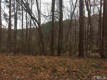 6825 Green Meadow Dr Lot 176-179, Raleigh, NC 27603