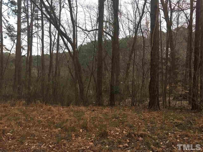 6825 Green Meadow Dr Lot 176-179, Raleigh, NC 27603