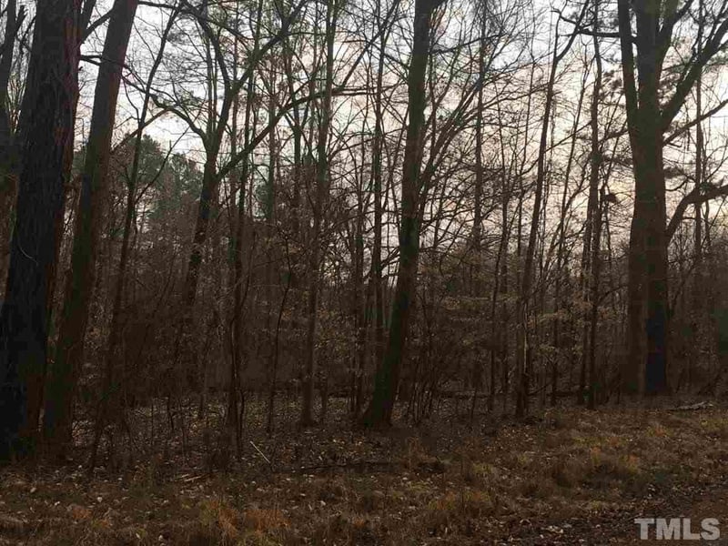 6825 Green Meadow Dr Lot 176-179, Raleigh, NC 27603
