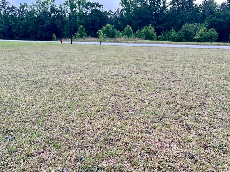 684 Lake Magnolia Way Lot 13A/13B, Smithfield, NC 27577
