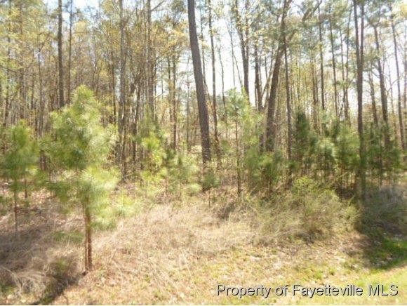 69 Buckroe Dr, Sanford, NC 27330