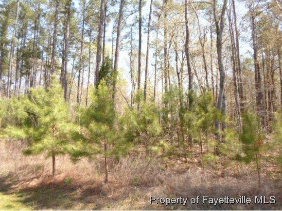 69 Buckroe Dr, Sanford, NC 27330