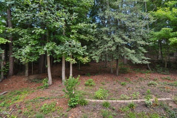 6901 River Birch Dr, Raleigh, NC 27613