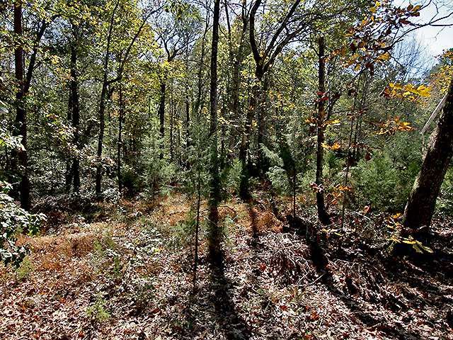 6933 Knotty Pine Dr Lot 44-B, Chapel Hill, NC 27517