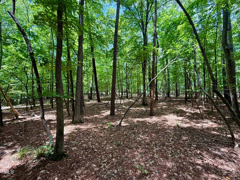 7 Edwards Ridge Rd Lot 7, Chapel Hill, NC 27517