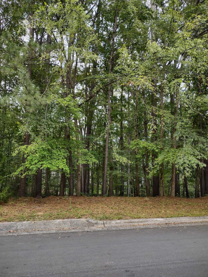 7 Governors Pl Lot 25, Durham, NC 27705
