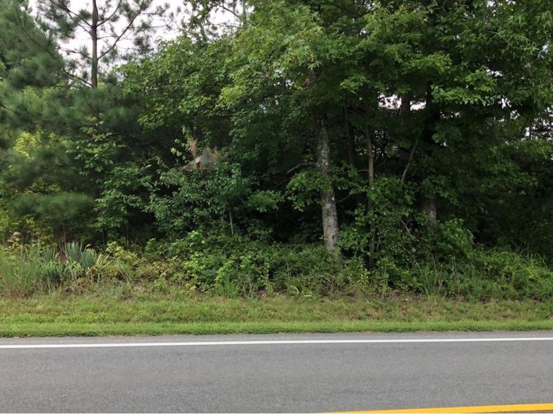 7 N Nc Hwy 62, Burlington, NC 27217