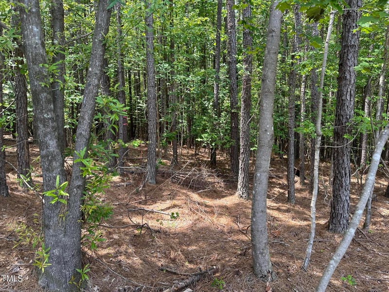 70 White Sound Way, Pittsboro, NC 27312