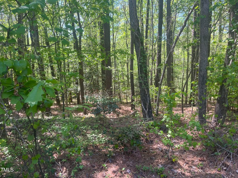 7000 Jeffrey Dr, Raleigh, NC 27603