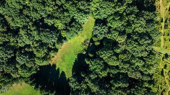 7000 Rosewood Park Ct, Raleigh, NC 27613