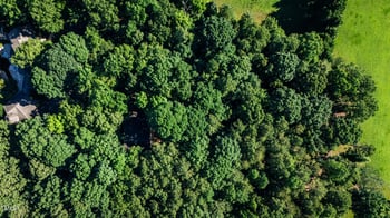 7001 Rosewood Park Ct Lot 3, Raleigh, NC 27613