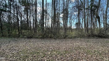 701 Coefield St Lot 62, Fuquay Varina, NC 27526