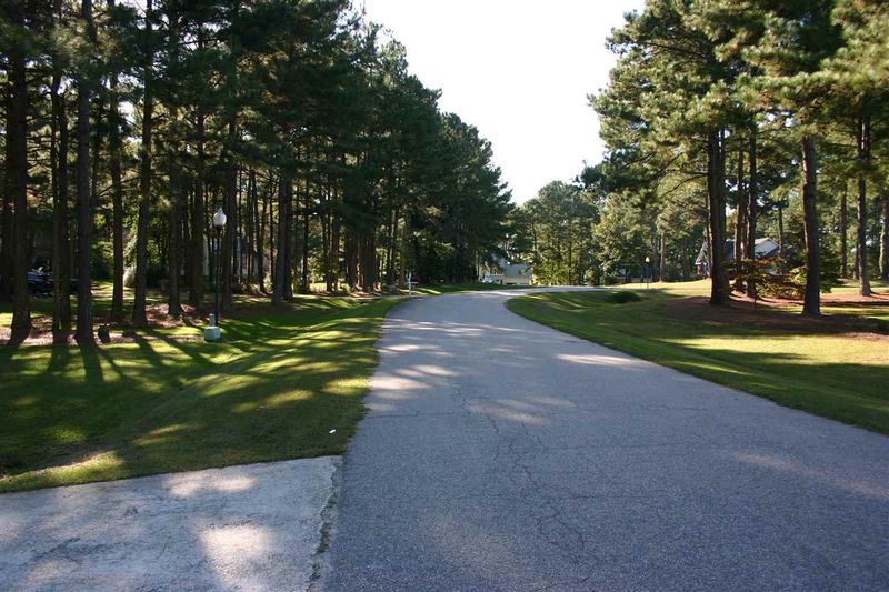7020 Arborvitae Way, Wendell, NC 27591