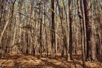 7023 Southern Trl Lot 15, Chapel Hill, NC 27516
