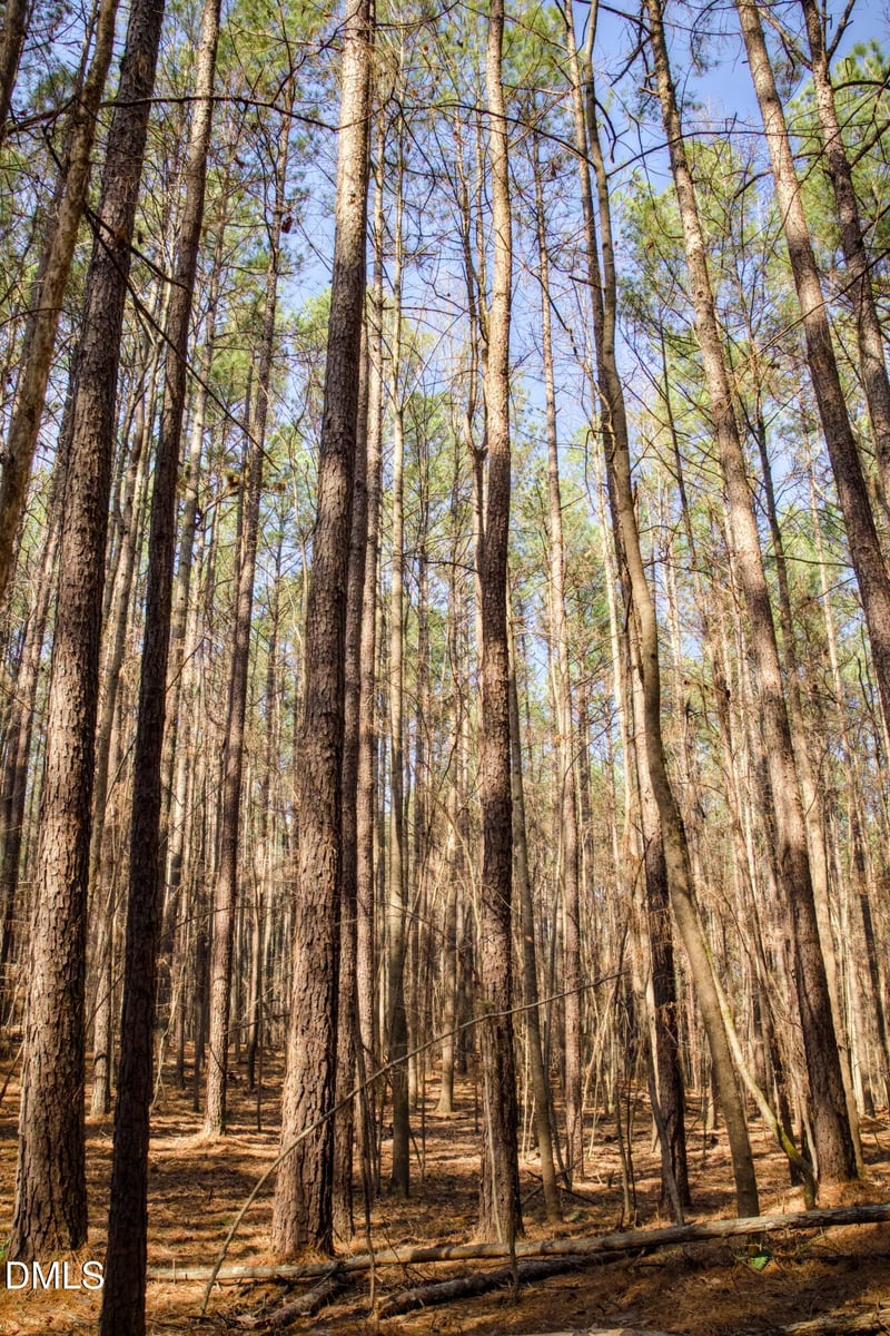 7023 Southern Trl Lot 7, Chapel Hill, NC 27516