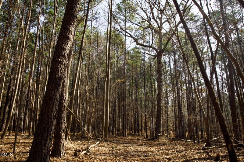 7023 Southern Trl Lot 7, Chapel Hill, NC 27516