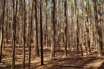 7023 Southern Trl Lot 7, Chapel Hill, NC 27516