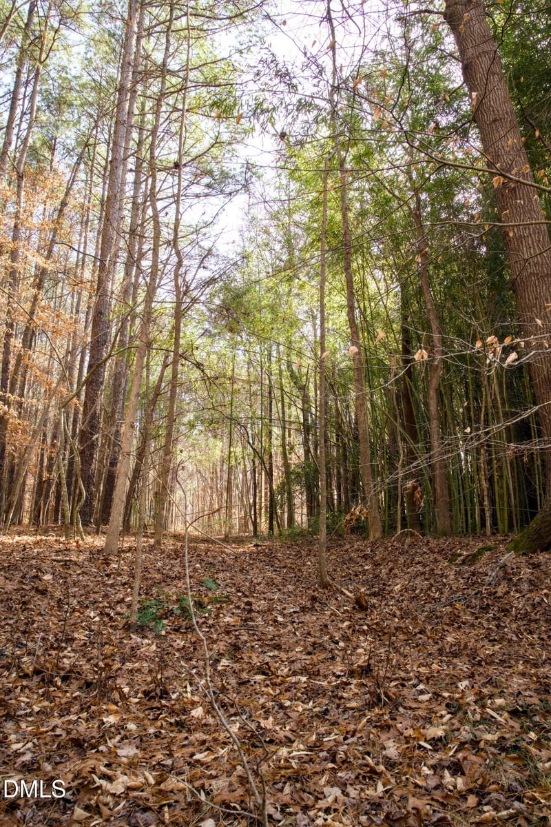 7023 Southern Trl Lot 8, Chapel Hill, NC 27516
