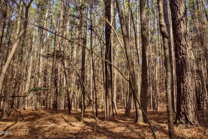 7023 Southern Trl Lot 8, Chapel Hill, NC 27516