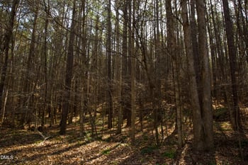 7023 Southern Trl Lot 8, Chapel Hill, NC 27516