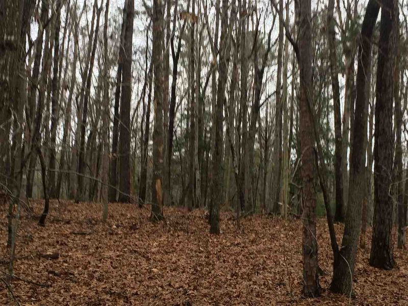 703 N Pea Ridge Rd Lot 3, Pittsboro, NC 27312
