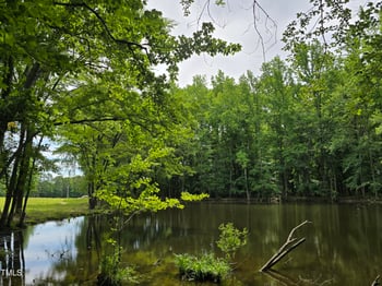 7030 Pearces Rd, Louisburg, NC 27549