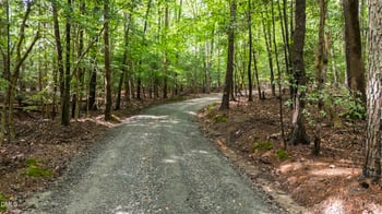 7037 Sirius Ln Lot 1 & 3, Raleigh, NC 27614